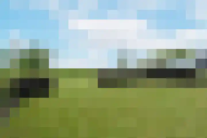 Waterhoen 18 Noorden thumbnail 45