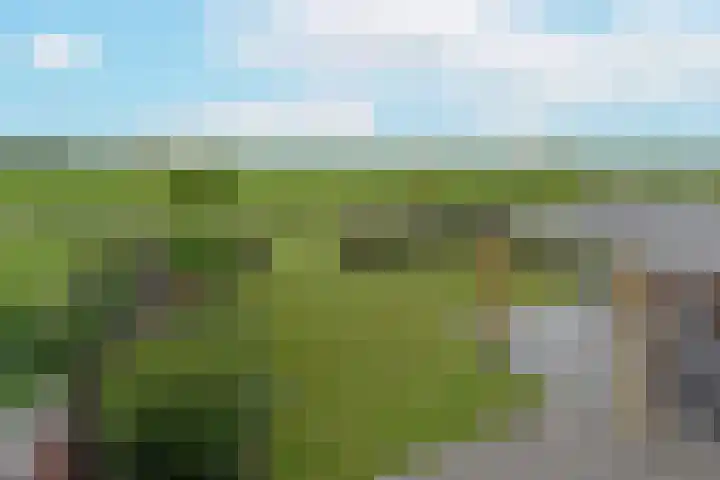 Waterhoen 18 Noorden thumbnail 46