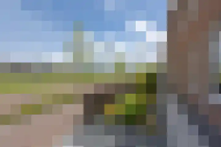Waterhoen 18 Noorden thumbnail 47