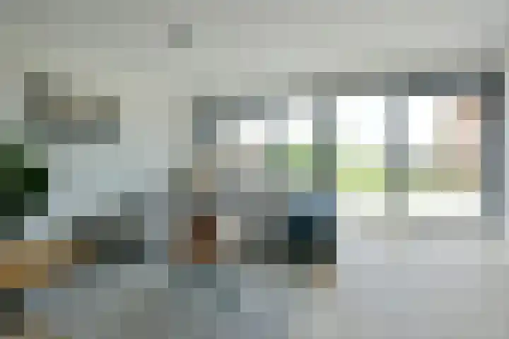 Waterhoen 18 Noorden thumbnail 5