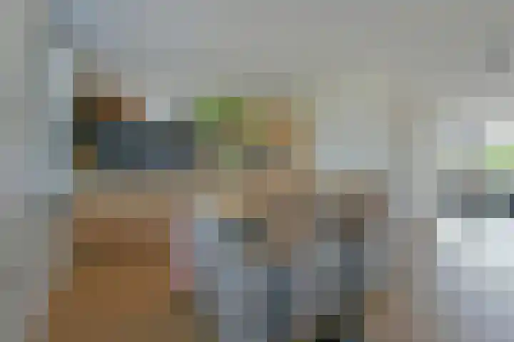 Waterhoen 18 Noorden thumbnail 7