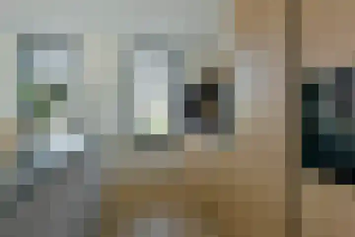 Waterhoen 18 Noorden thumbnail 8