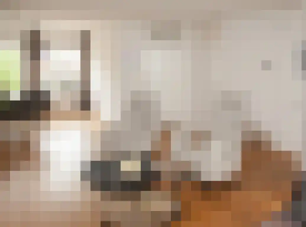 Waterhoen 20 Etten-Leur thumbnail 12