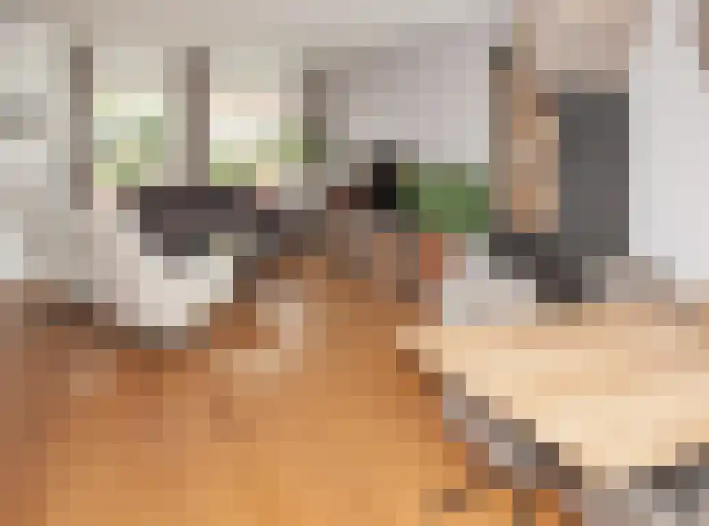 Waterhoen 20 Etten-Leur thumbnail 13