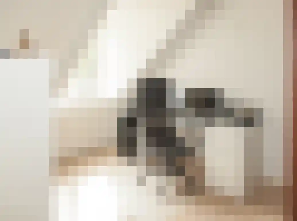 Waterhoen 20 Etten-Leur thumbnail 24