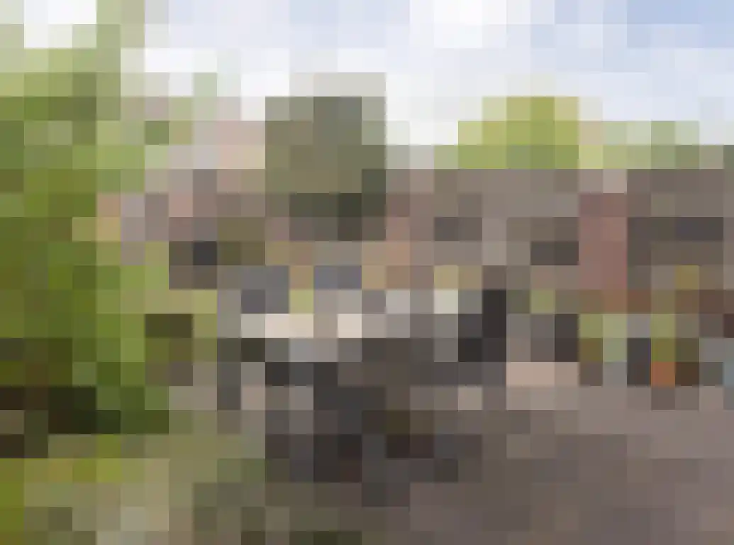 Waterhoen 20 Etten-Leur thumbnail 33