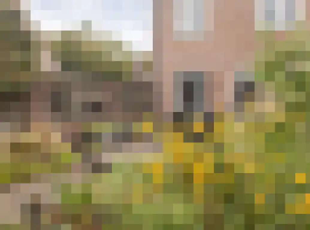 Waterhoen 20 Etten-Leur thumbnail 34