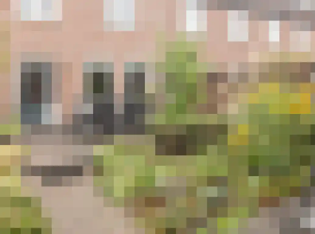 Waterhoen 20 Etten-Leur thumbnail 35