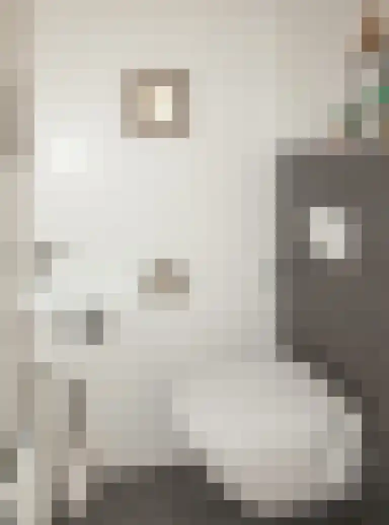 Waterhoen 20 Etten-Leur thumbnail 6