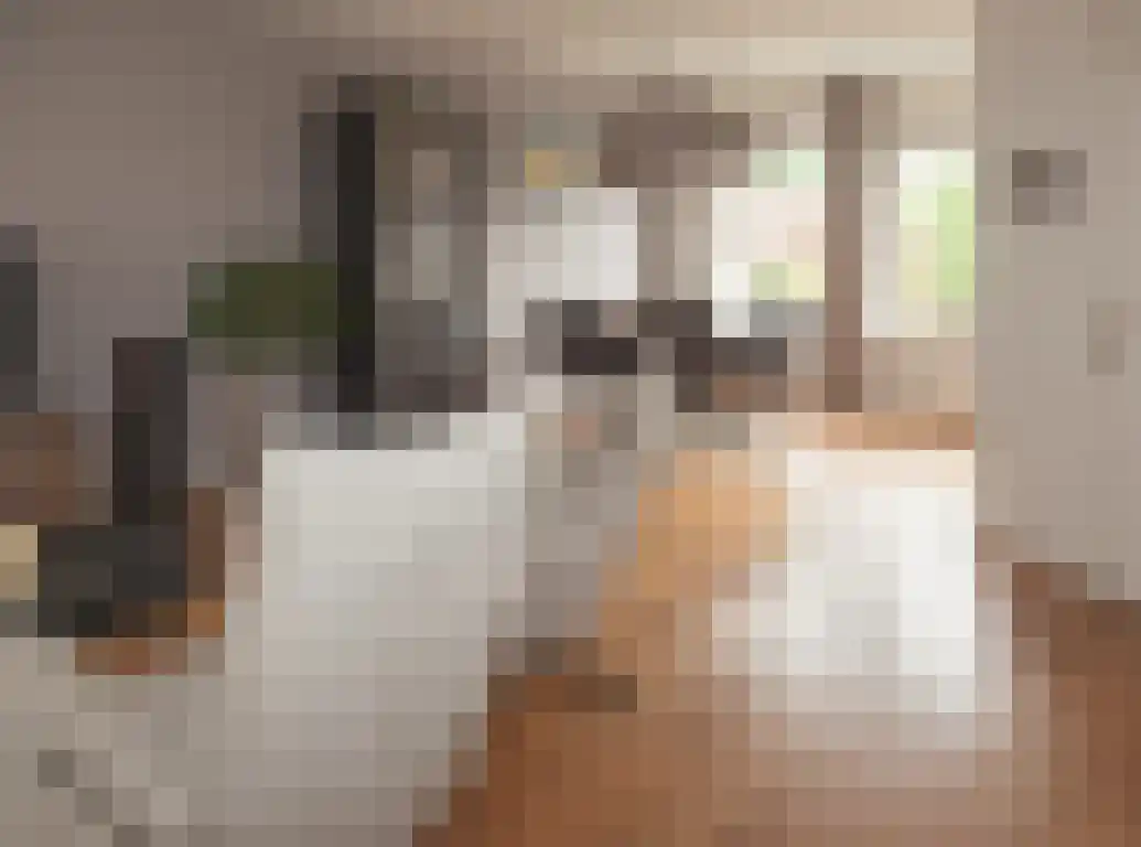 Waterhoen 20 Etten-Leur thumbnail 7