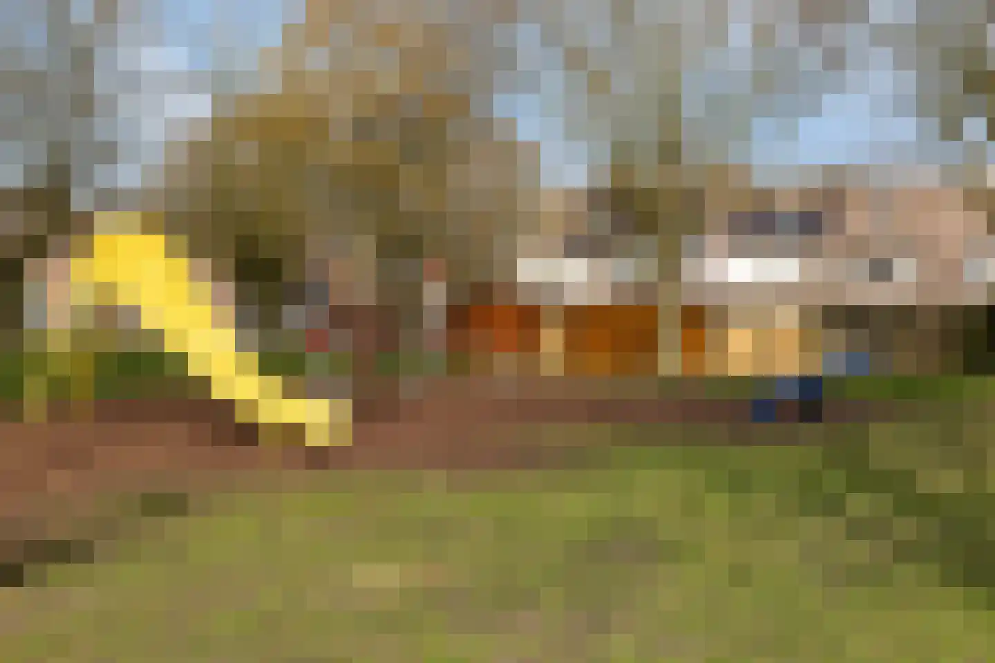 Waterhoen 25 Oud-Beijerland thumbnail 39