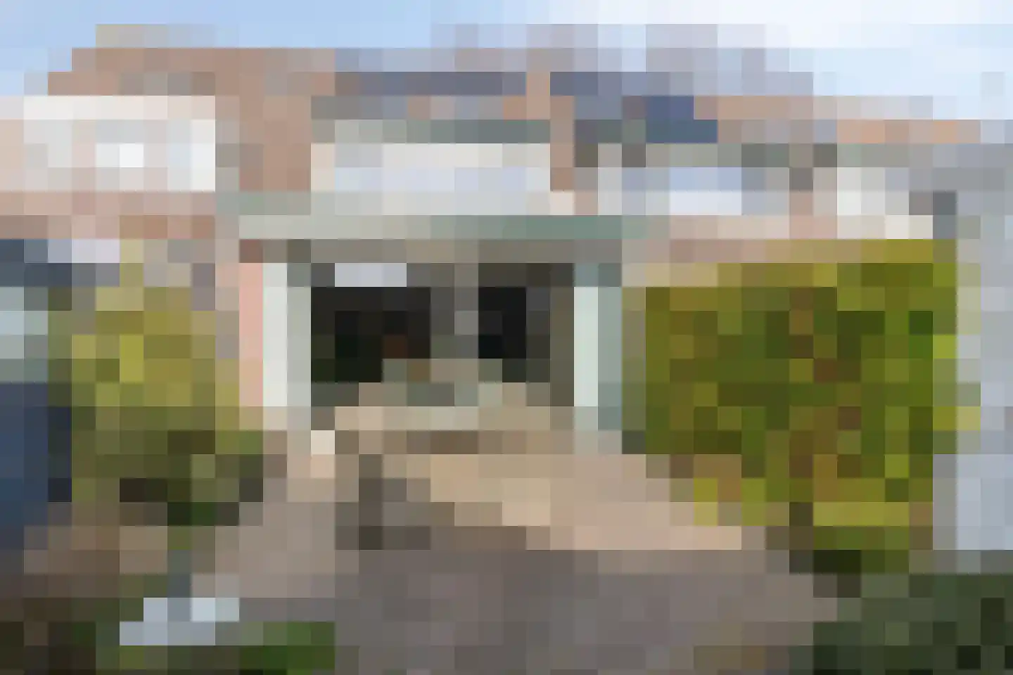 Waterhoen 25 Oud-Beijerland thumbnail 4