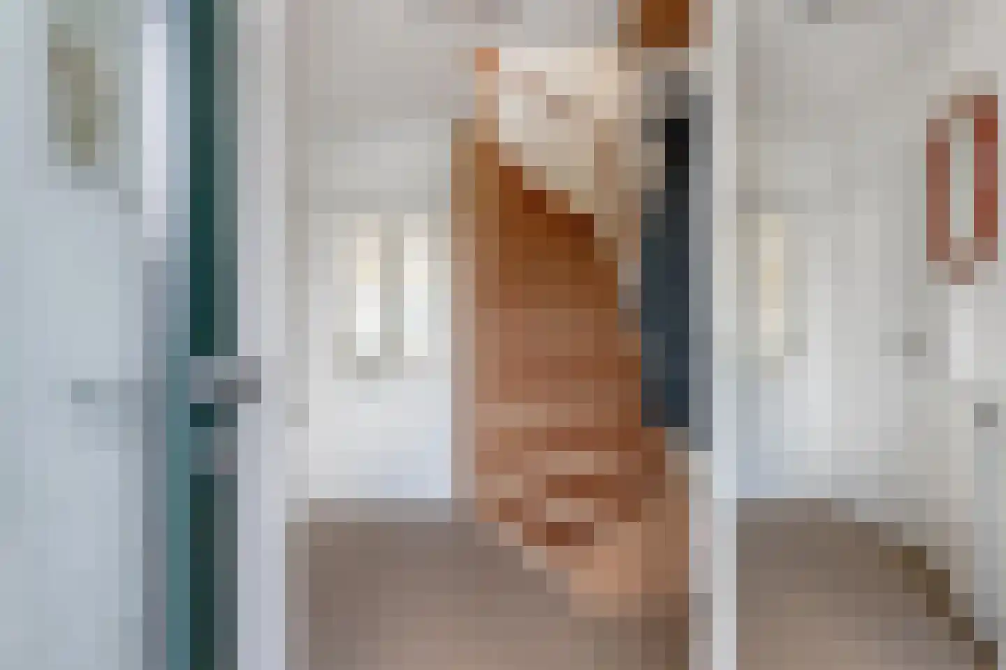 Waterhoen 25 Oud-Beijerland thumbnail 6