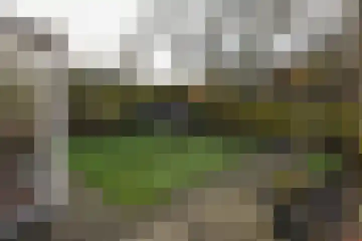 Waterhoen 27 Mijdrecht thumbnail 24