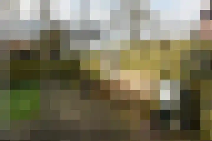 Waterhoen 27 Mijdrecht thumbnail 25