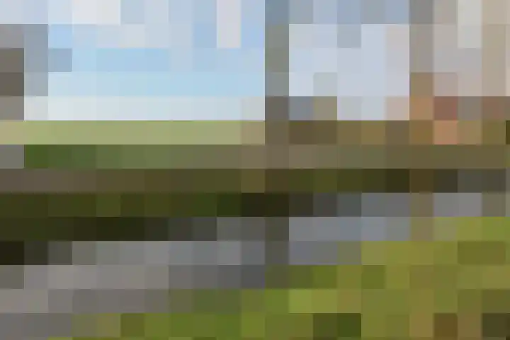 Waterhoen 27 Mijdrecht thumbnail 28