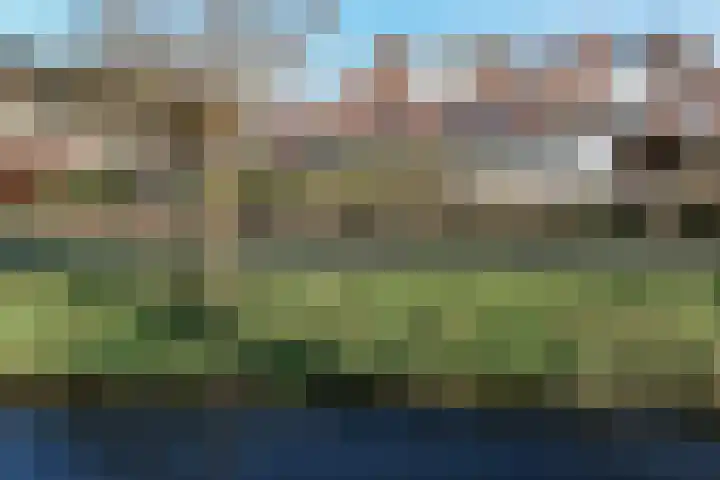 Waterhoen 27 Mijdrecht thumbnail 30