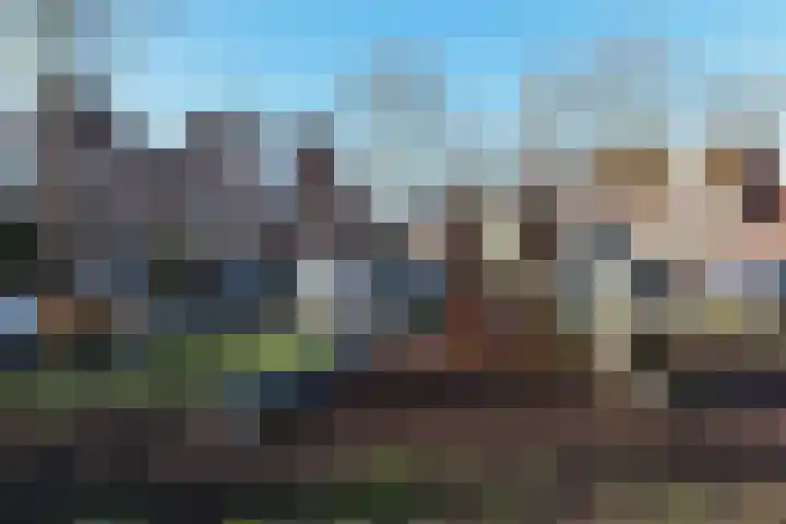 Waterhoen 27 Mijdrecht thumbnail 31