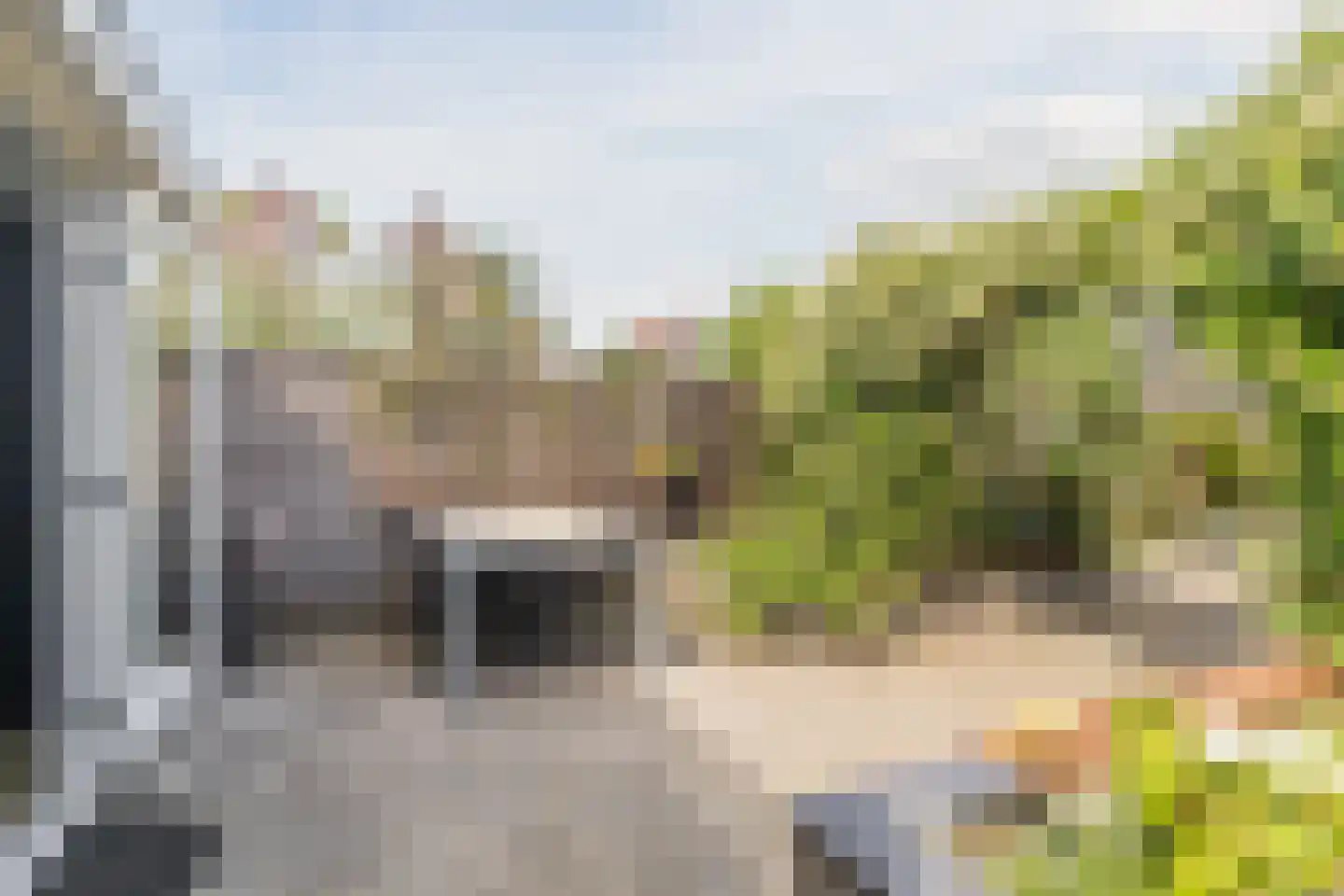 Waterhoen 28 Mijdrecht thumbnail 28