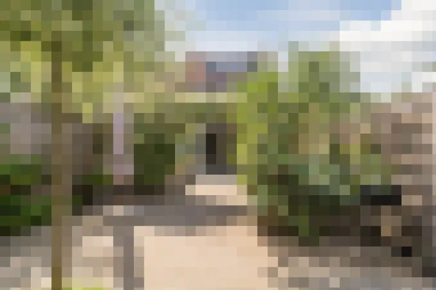 Waterhoen 28 Mijdrecht thumbnail 30