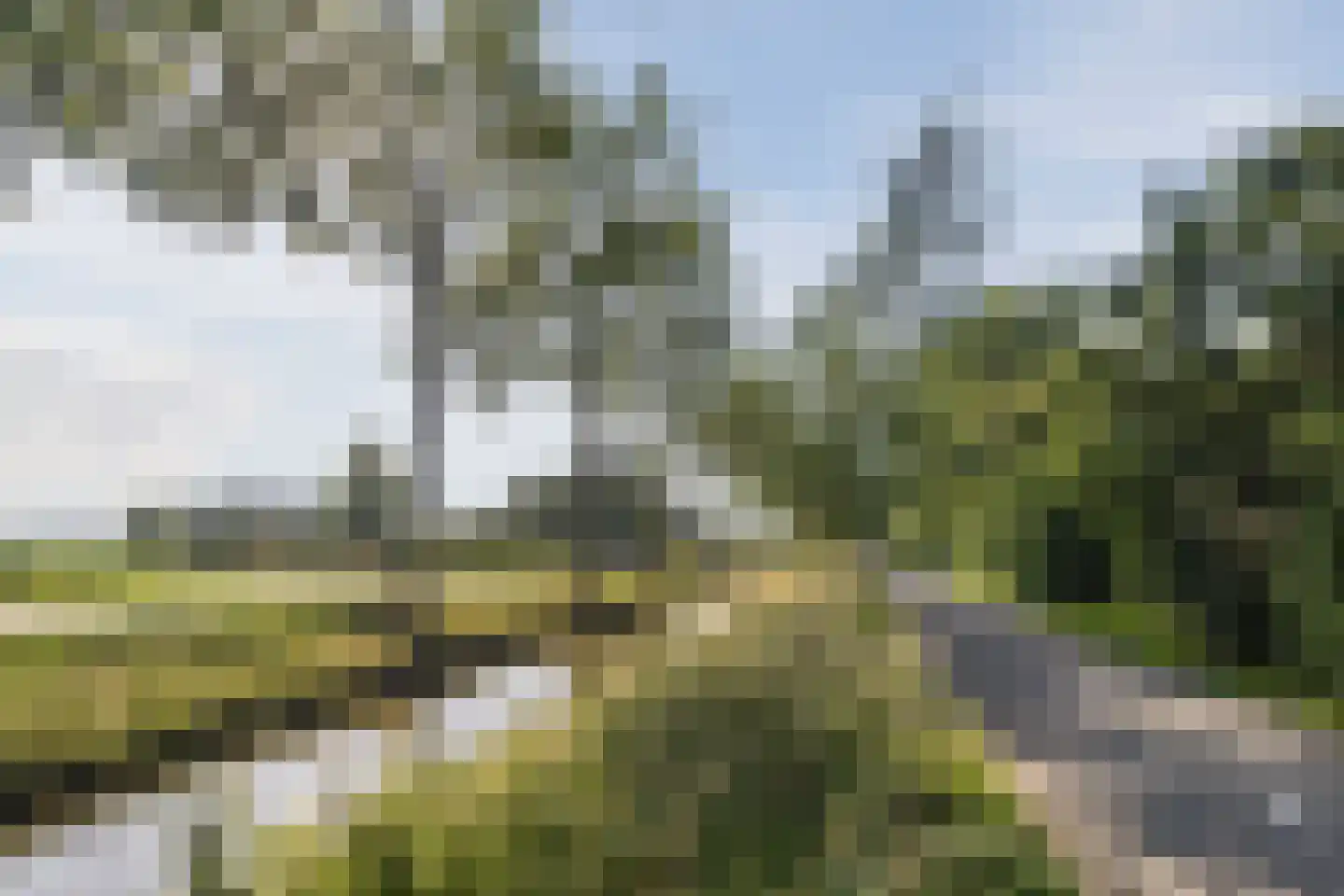 Waterhoen 28 Mijdrecht thumbnail 35