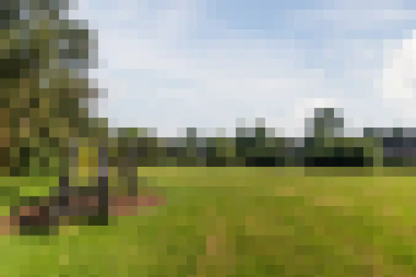 Waterhoen 28 Mijdrecht thumbnail 36