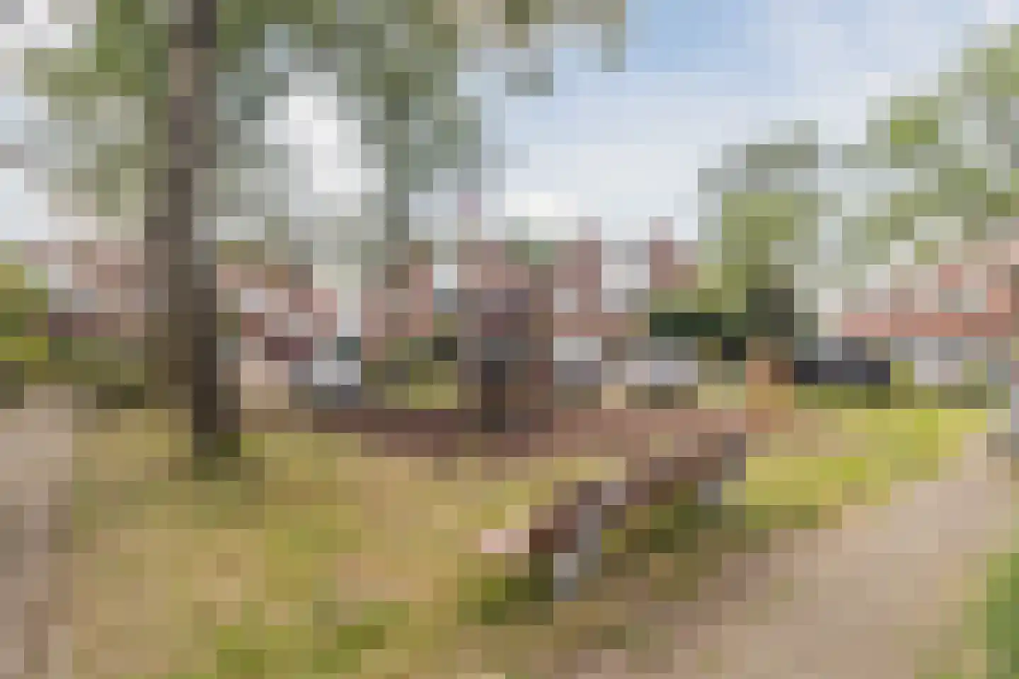 Waterhoen 28 Mijdrecht thumbnail 37