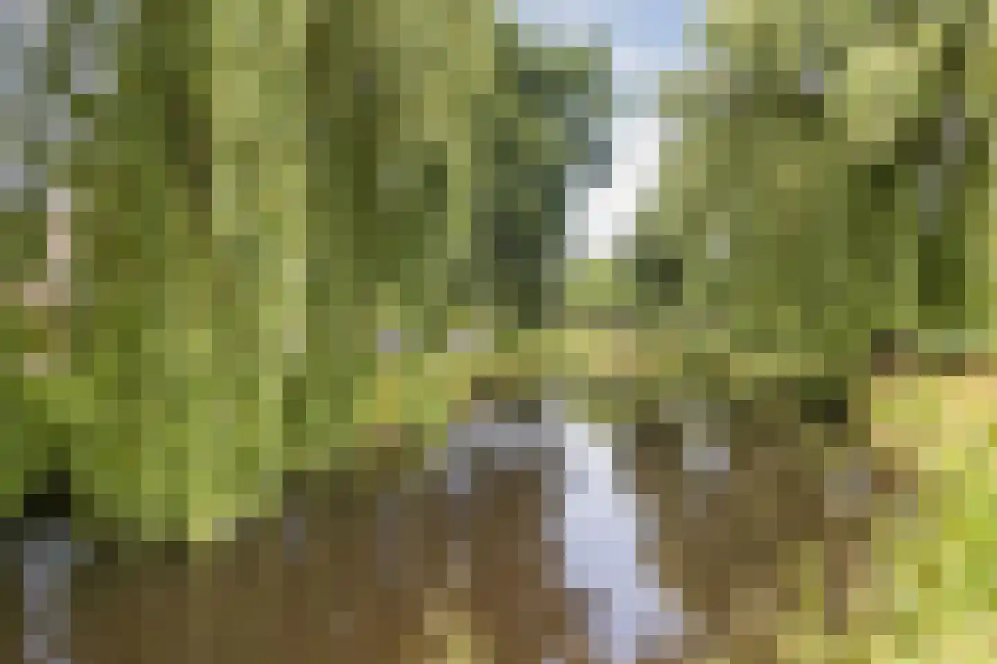 Waterhoen 28 Mijdrecht thumbnail 38