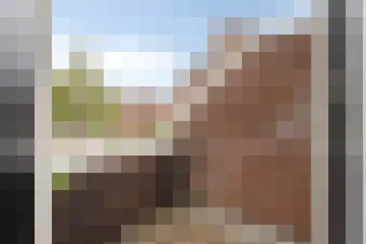 Waterhoen 29 Deventer thumbnail 17