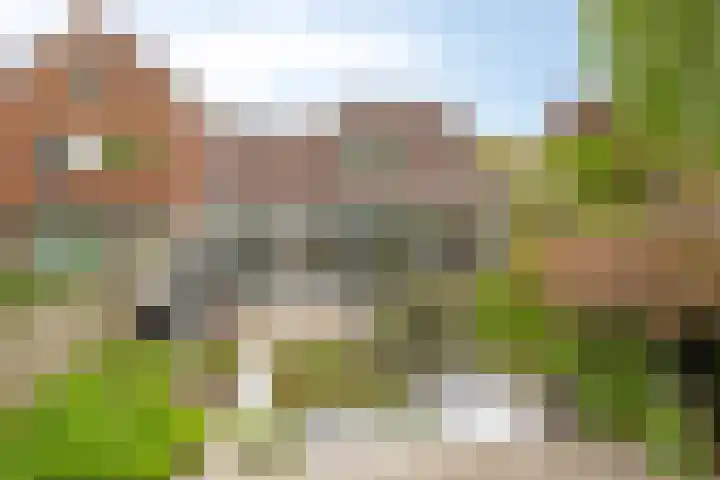 Waterhoen 29 Deventer thumbnail 22