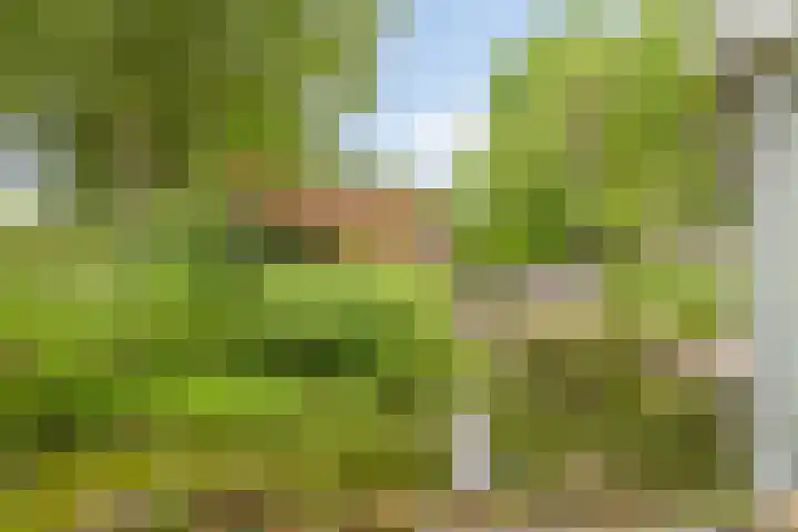 Waterhoen 29 Deventer thumbnail 23
