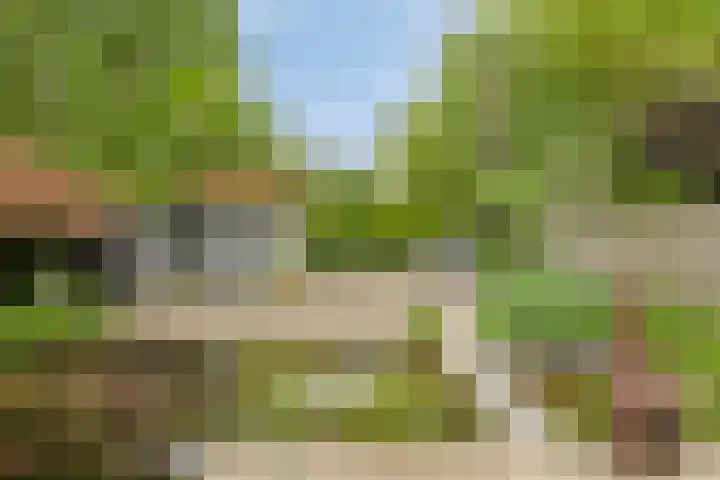 Waterhoen 29 Deventer thumbnail 25