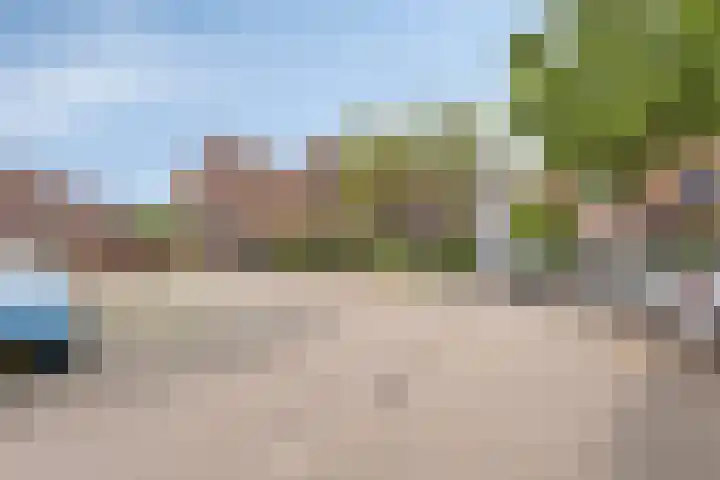 Waterhoen 29 Deventer thumbnail 27