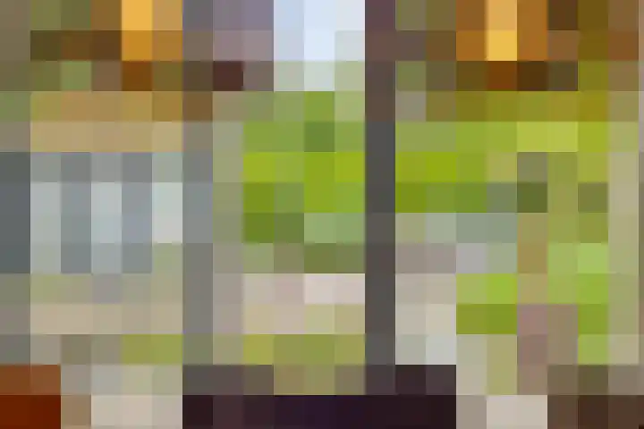 Waterhoen 29 Deventer thumbnail 8