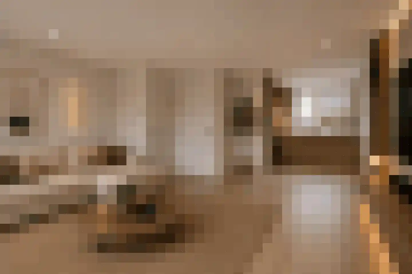 Waterhoen 3 Muiderberg thumbnail 12