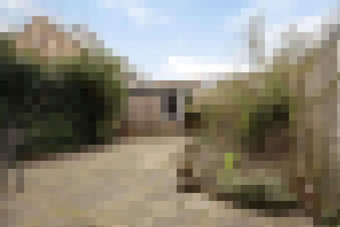 Waterhoen 3 Muiderberg thumbnail 16