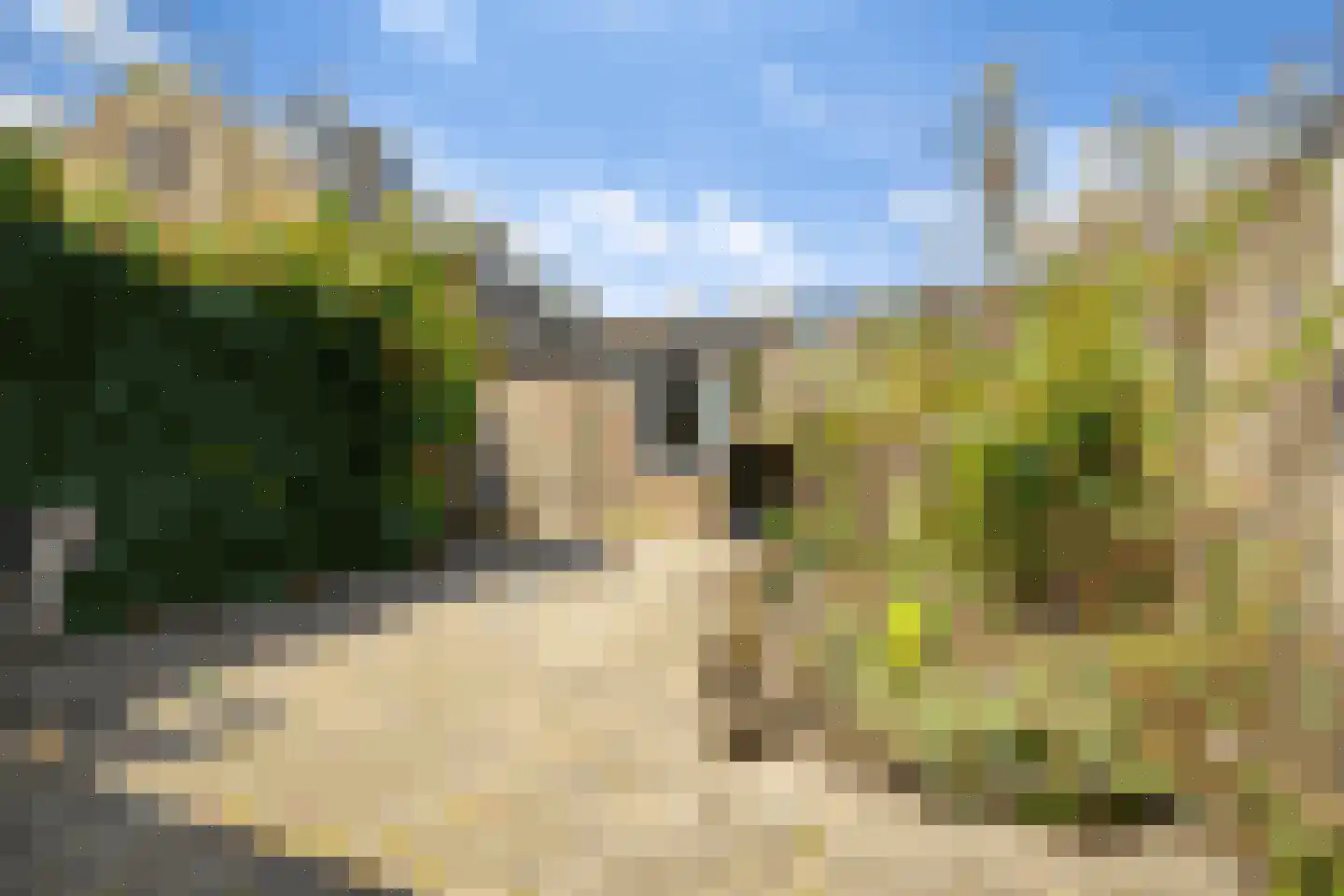 Waterhoen 3 Muiderberg thumbnail 17