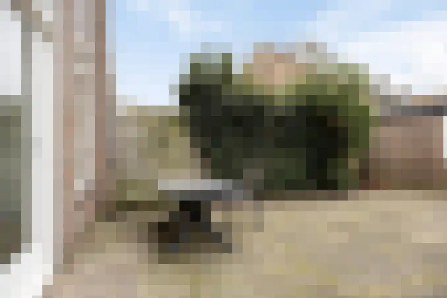 Waterhoen 3 Muiderberg thumbnail 18