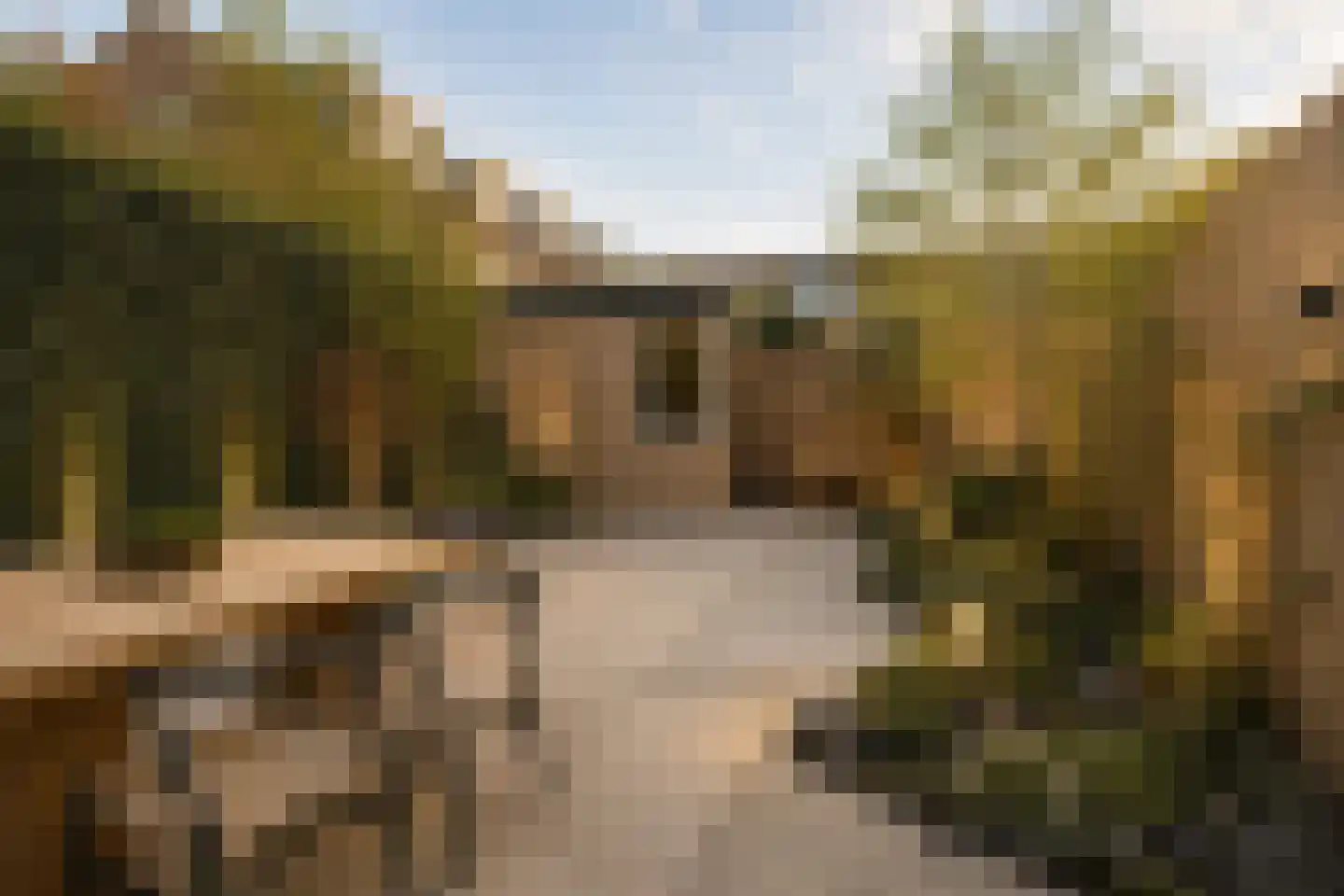 Waterhoen 3 Muiderberg thumbnail 18