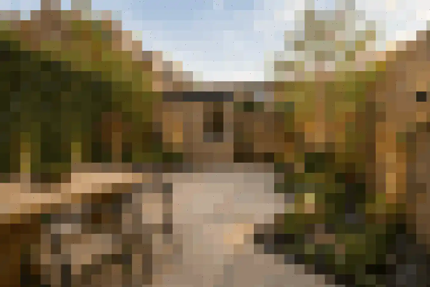 Waterhoen 3 Muiderberg thumbnail 18