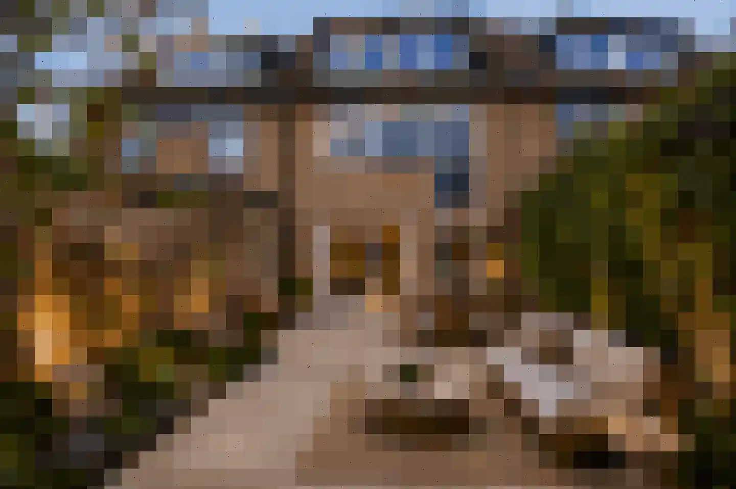 Waterhoen 3 Muiderberg thumbnail 20
