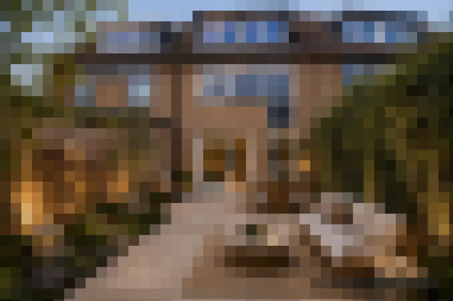 Waterhoen 3 Muiderberg thumbnail 20