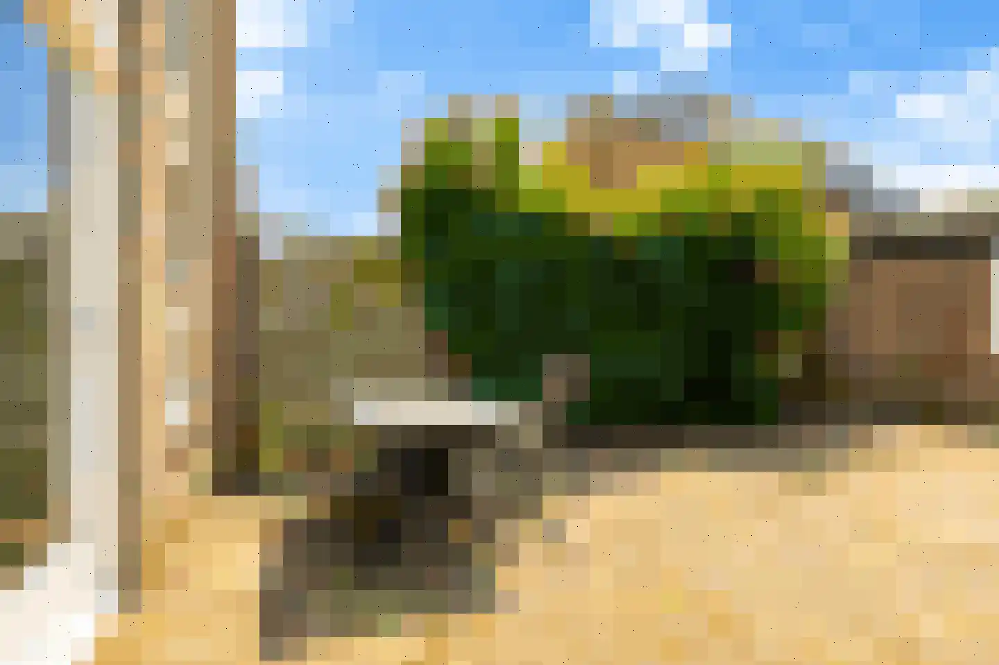 Waterhoen 3 Muiderberg thumbnail 21