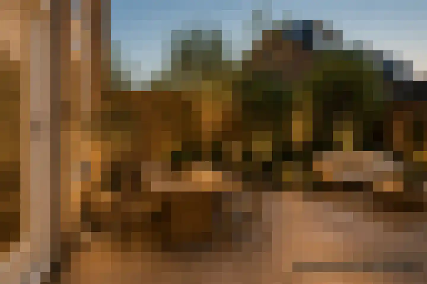 Waterhoen 3 Muiderberg thumbnail 22