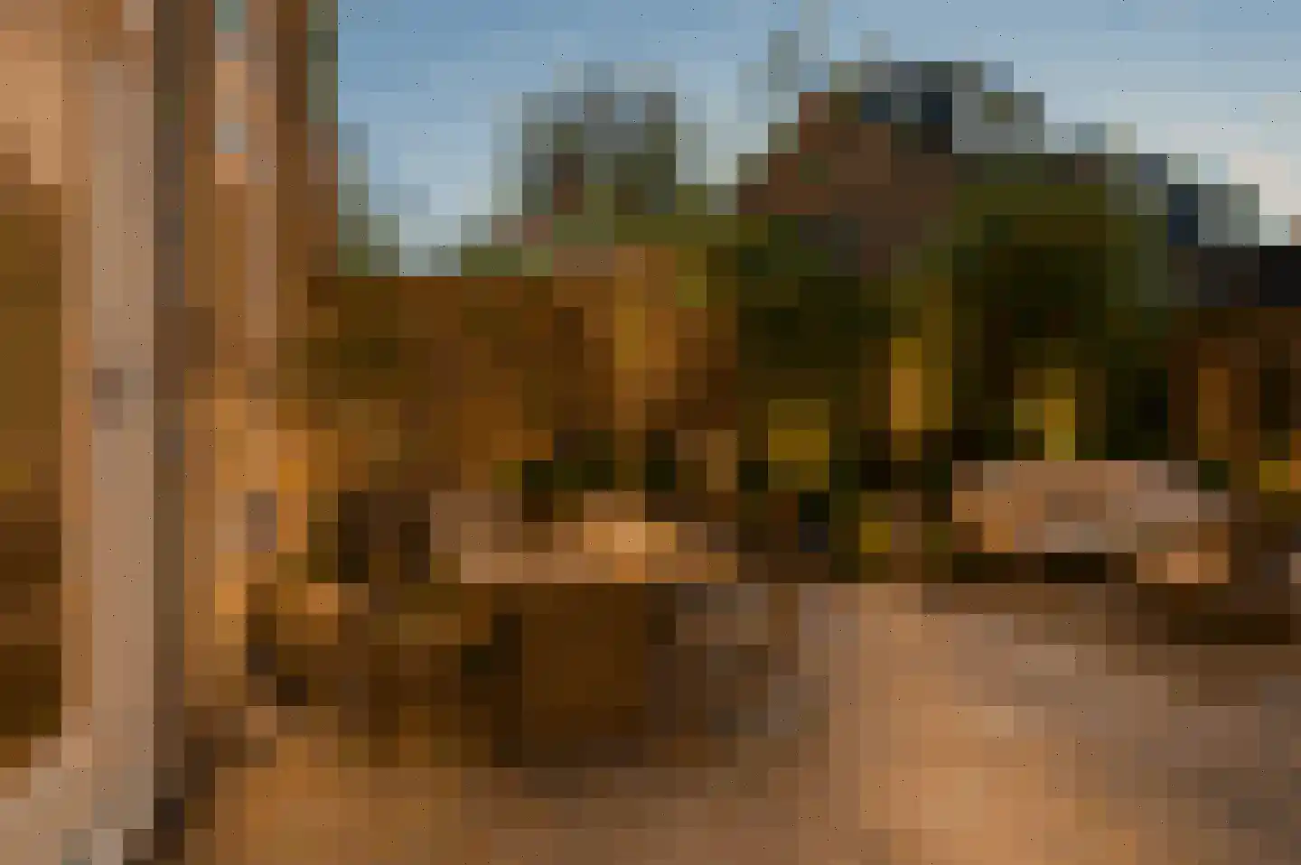 Waterhoen 3 Muiderberg thumbnail 22