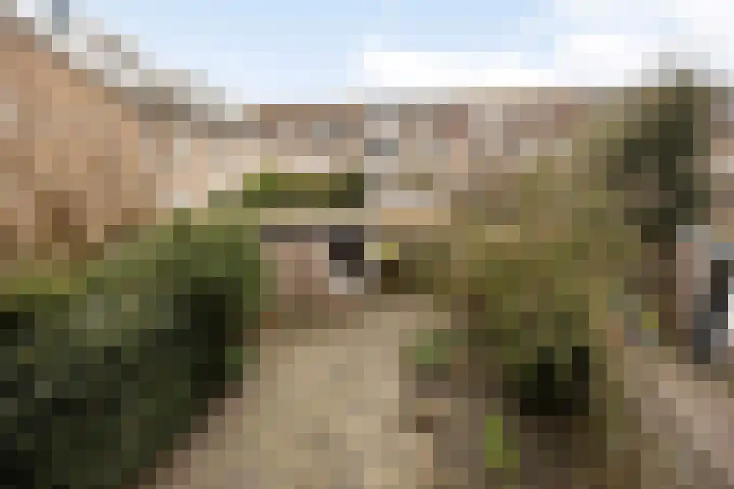 Waterhoen 3 Muiderberg thumbnail 22