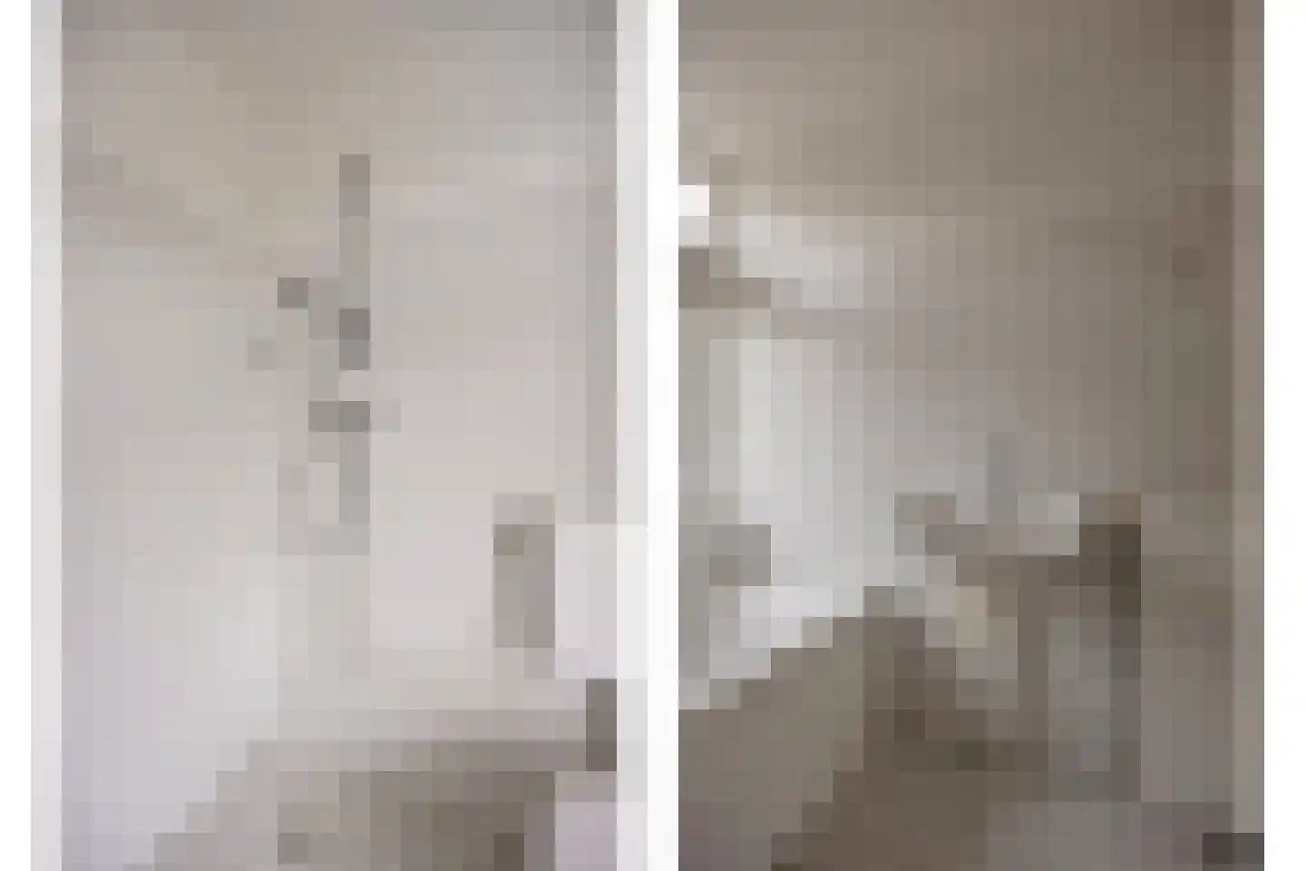 Waterhoen 3 Muiderberg thumbnail 24