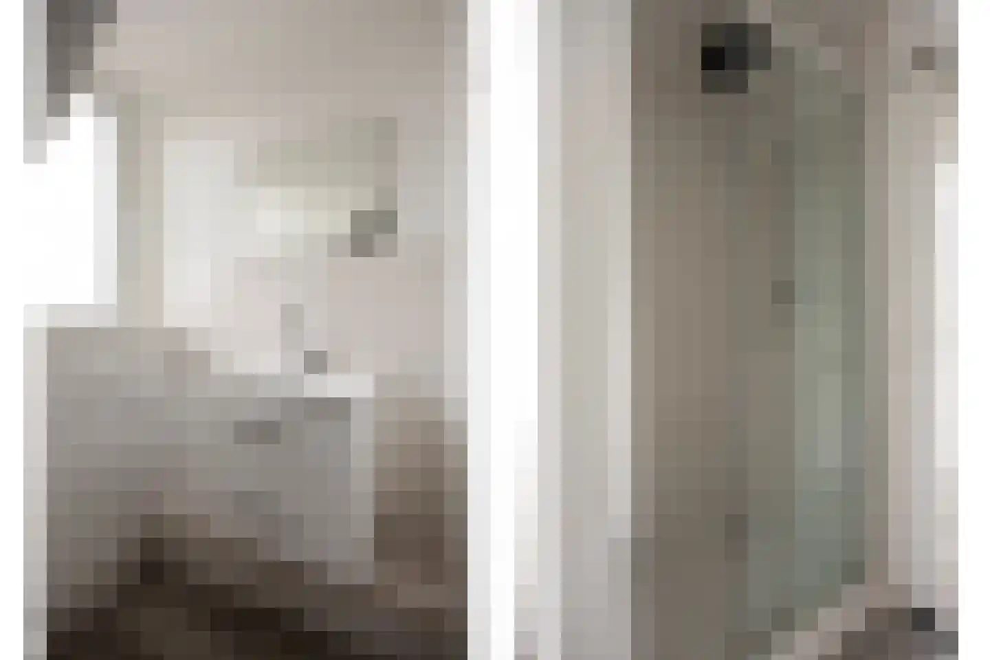 Waterhoen 3 Muiderberg thumbnail 25