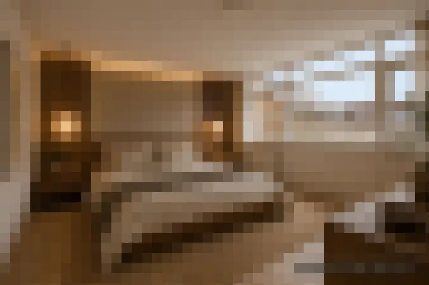 Waterhoen 3 Muiderberg thumbnail 26