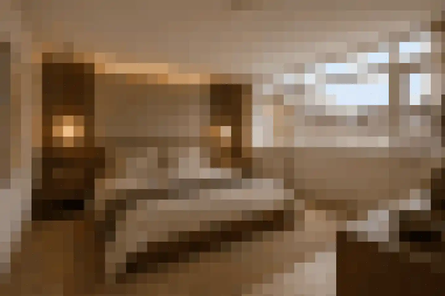 Waterhoen 3 Muiderberg thumbnail 26